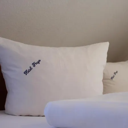Hotel Freye 4*