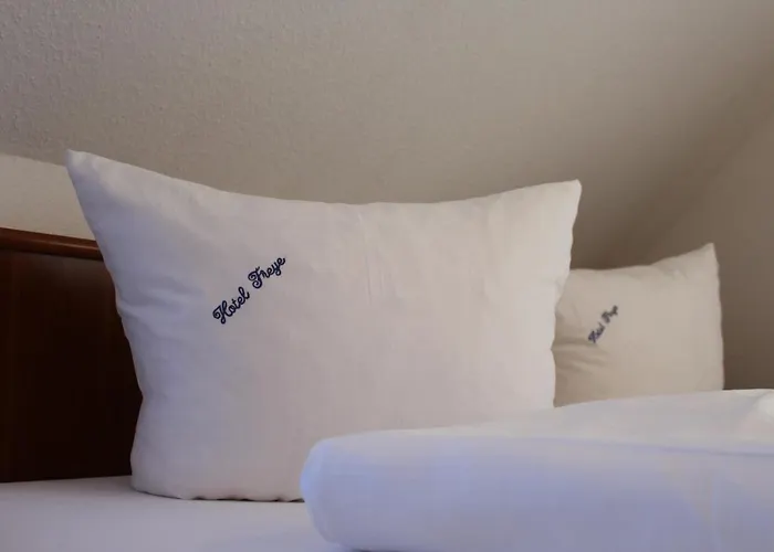 Hotel Freye 4*